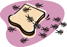 Remembering, Ants on Bread
