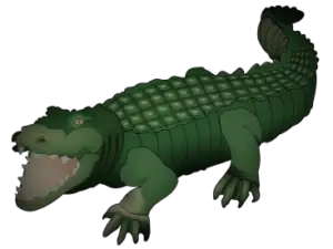 Drawing of a crocodile